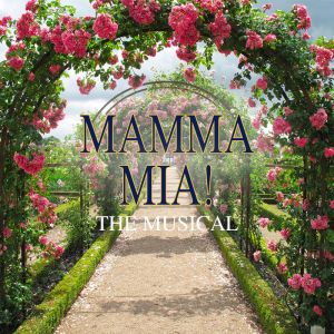  MAMMA MIA - The Musical 