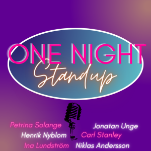 One Night Standup 